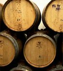 about-argento about-argento