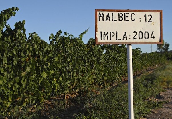 about-argento3 about-argento3