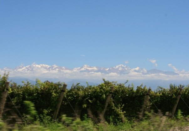 mendoza1 mendoza1