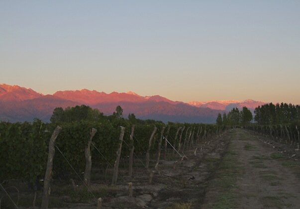 mendoza2 mendoza2