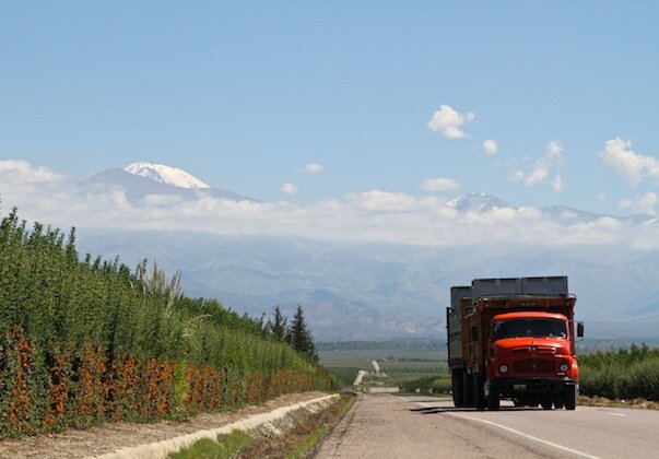 mendoza6 mendoza6