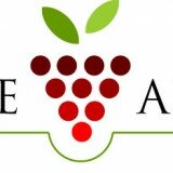 wineAlignLogo